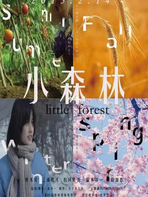 韩剧《小森林》完整版