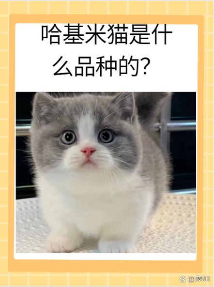 萌喵是什么意思