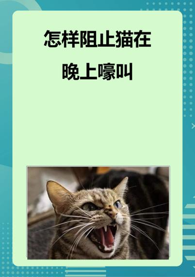 猫咪晚上一直叫怎么办