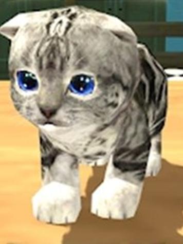 猫咪模拟器3D旧版本游戏截图