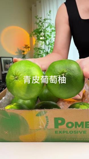 青皮柚子可以吃吗游戏截图
