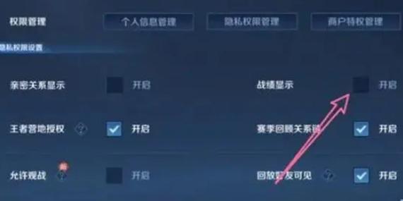 王者怎么设置不能查看战绩详情