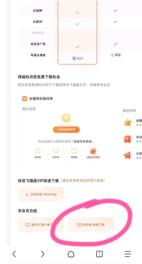 飞猫云vip账号试用
