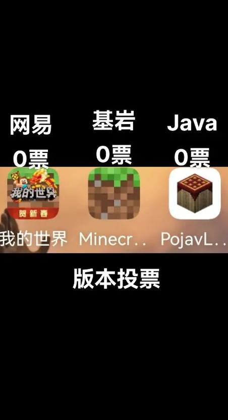 玩mc的都是什么人缩略图