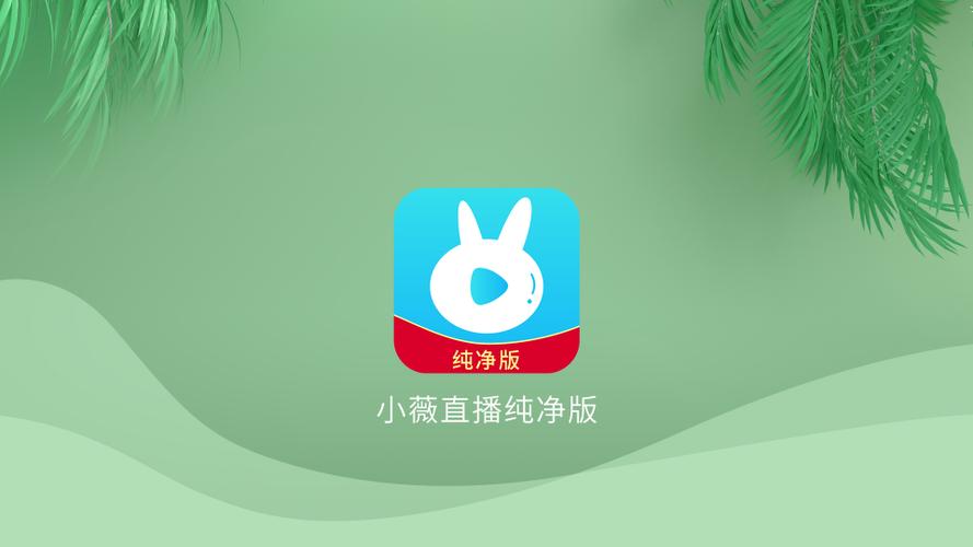 小微电视纯净版游戏截图