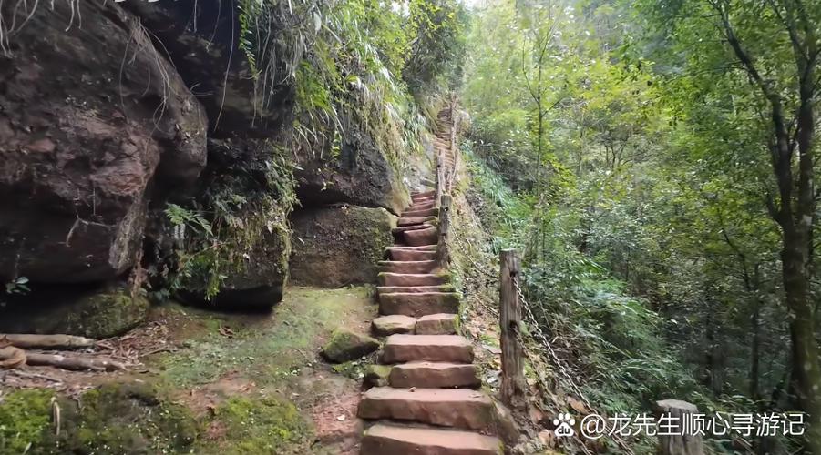 重庆爱情天梯门票多少