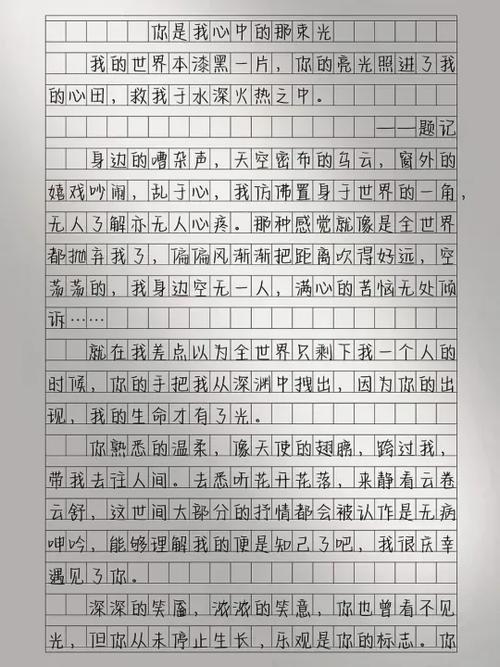遇见你遇见光作文游戏截图