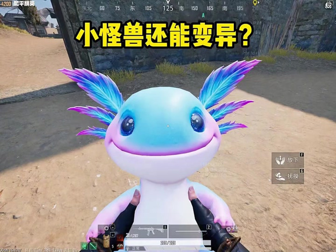 和平精英精卫直装卡密游戏截图