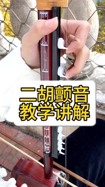 二胡零基础教学视频