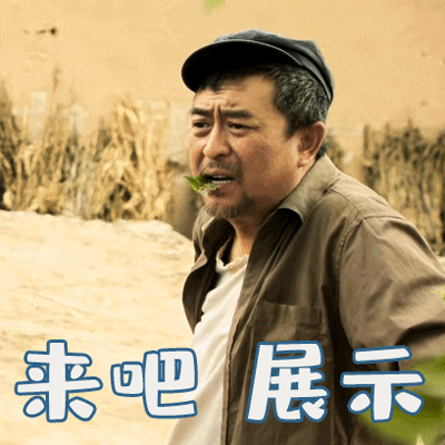 水叔动态表情包gif