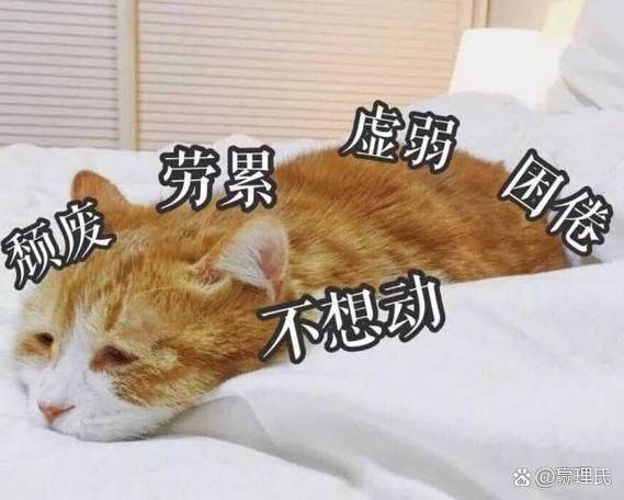 心累表情包