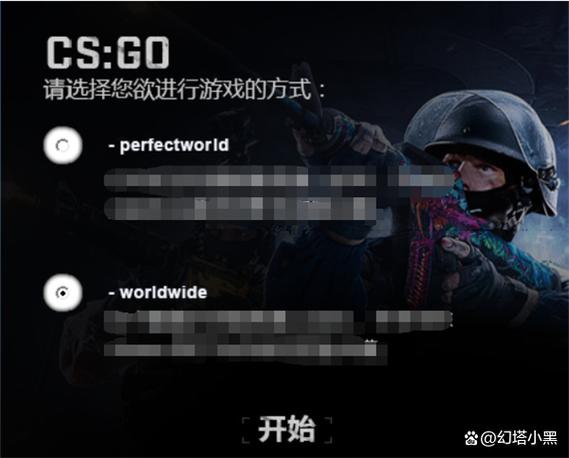 国际服cs启动项