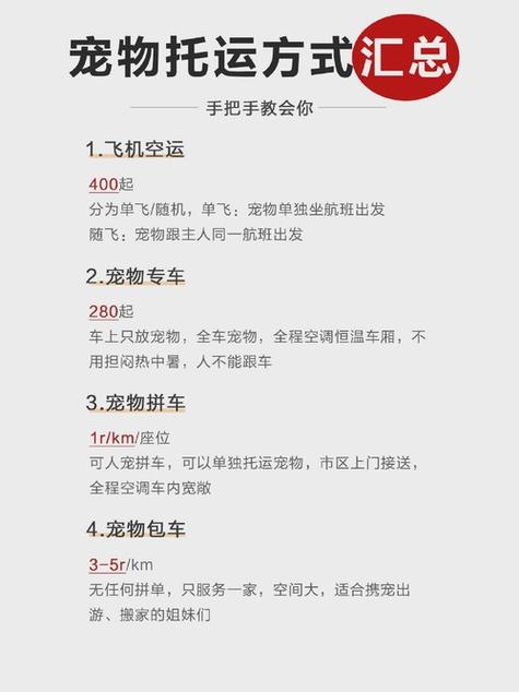 顺丰宠物托运平台官网