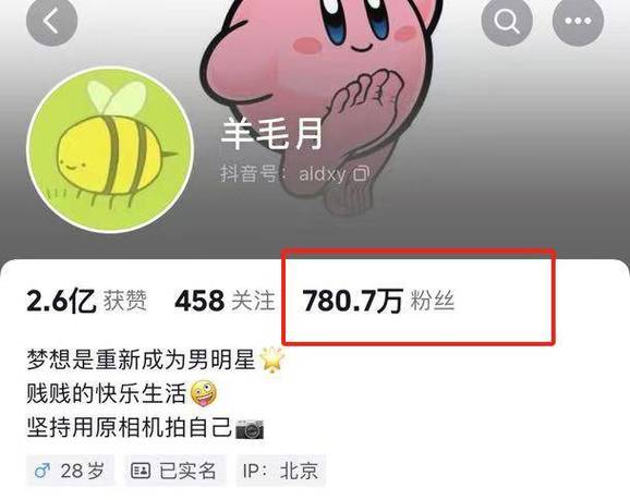 羊毛月是谁缩略图