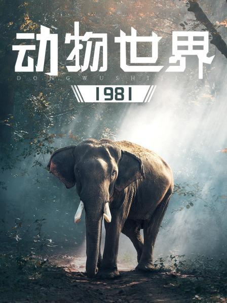 动物世界纪录片链接游戏截图