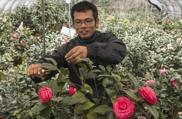 茶花直播平台游戏截图