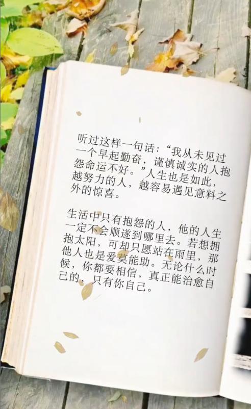 适合发朋友圈的文章