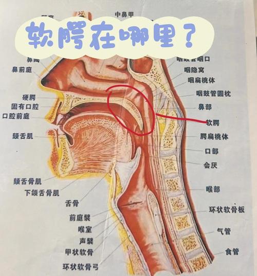 系统语音引擎游戏截图