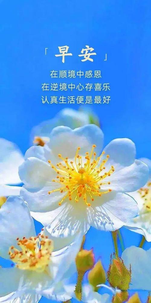 发朋友圈的图片上带子游戏截图