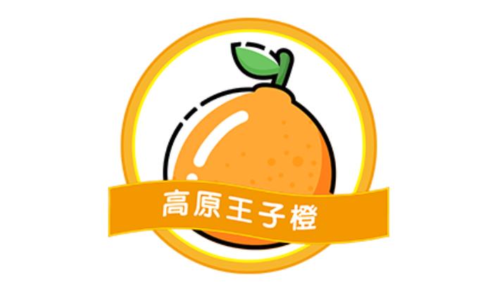 王子橙百度百科