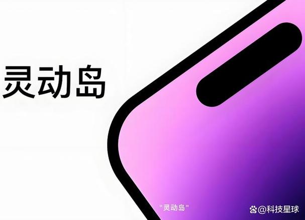 iPhone 灵动岛的功能介绍缩略图