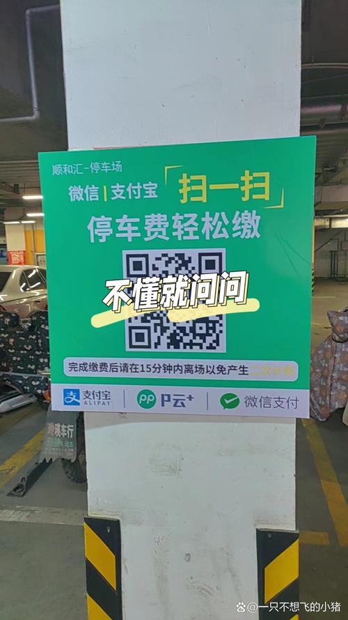 路边停车的小票可以不交费吗游戏截图