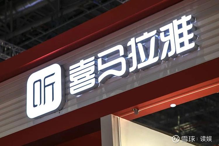 喜马拉雅去广告游戏截图