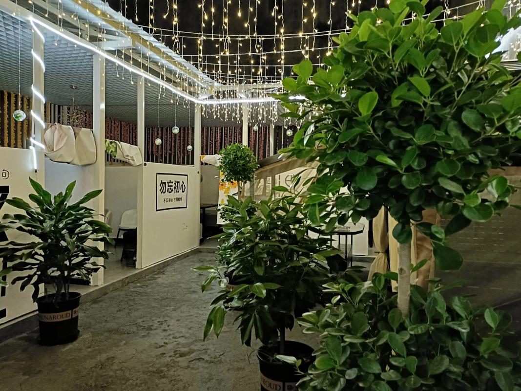 长春休闲吧贴吧缩略图