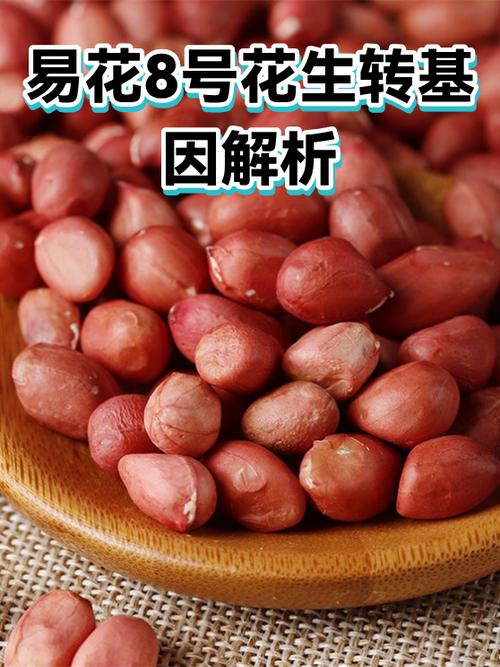 花生转转发文章赚钱游戏截图