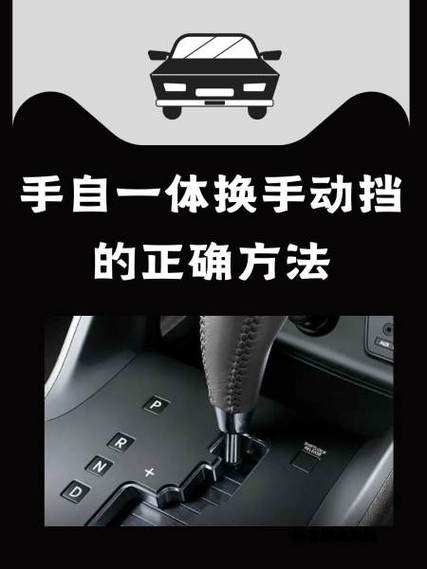 手动挡停车场内饰黑怎么办游戏截图
