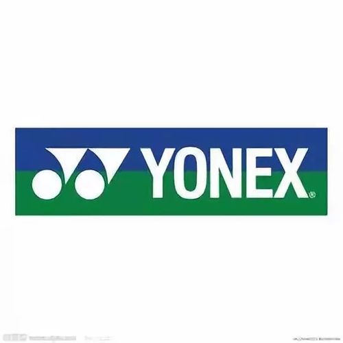 羽毛球拍品牌logo大全