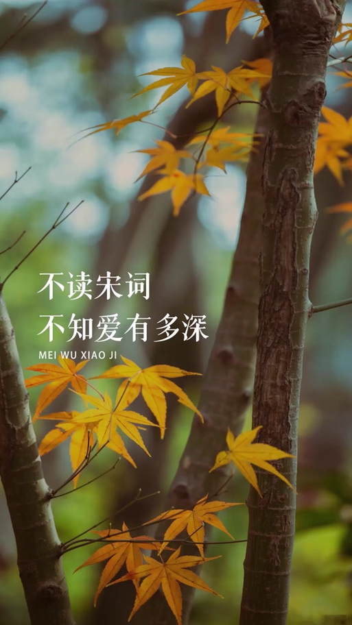爱的诗歌 赞美诗游戏截图