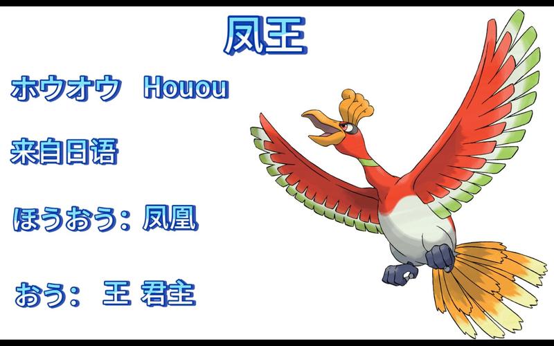 宠物王国凤王任务路线