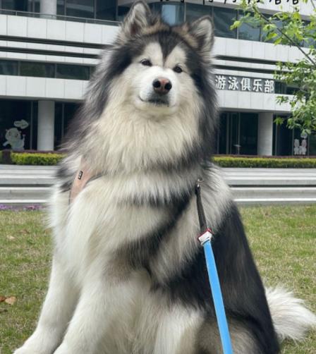 养什么宠物赚钱利润高游戏截图