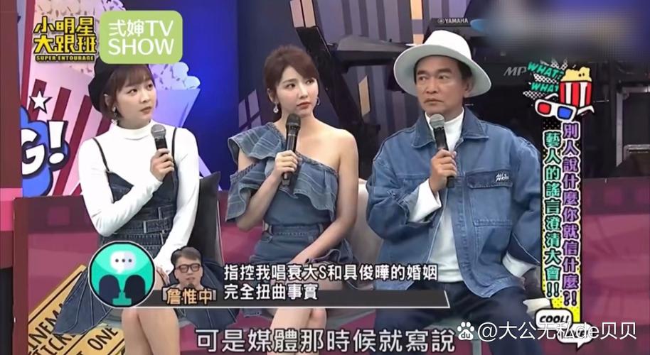 台湾弯弯的综艺完整版在线观看缩略图
