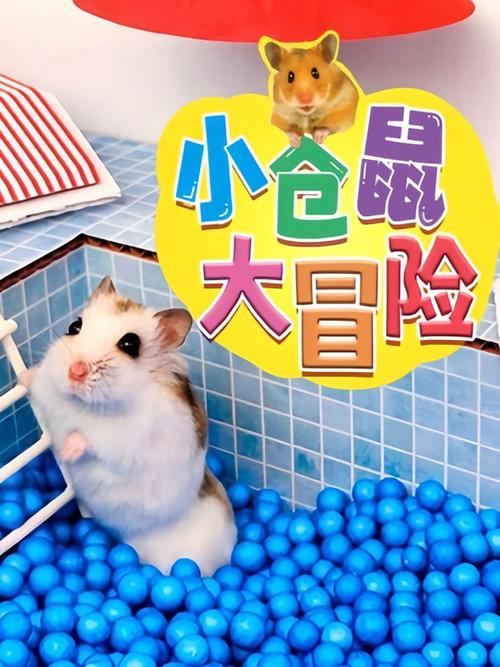 小仓鼠大冒险1-60集全免费观看