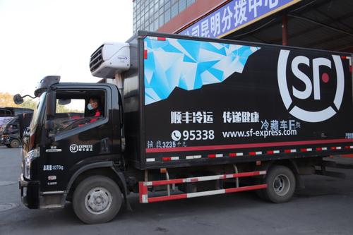 顺丰冷链游戏截图