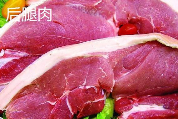二刀前腿肉和后腿肉哪个好