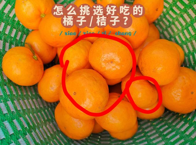 小桔试玩靠谱吗
