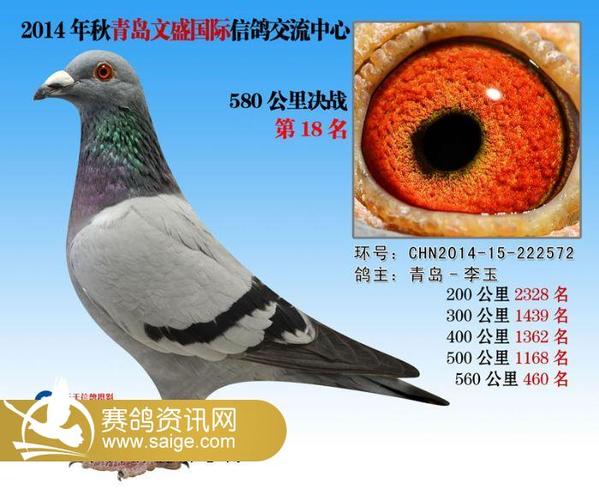 山东文盛公棚缩略图