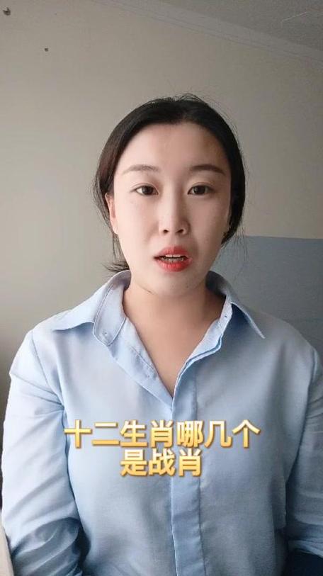十二生肖战斗肖