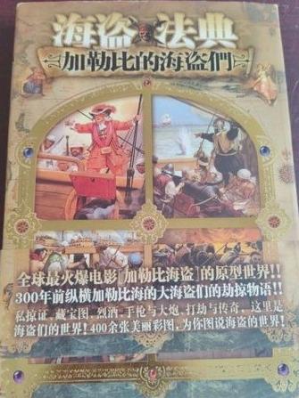 海贼法典百度百科游戏截图
