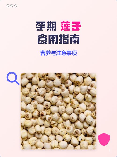 孕妇能吃莲子吗