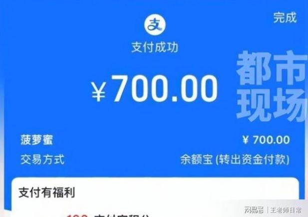 支付宝支付成功截图
