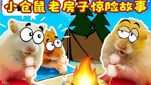 小仓鼠闯关大冒险视频游戏截图