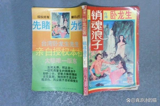 香港正版免费资料大全小说缩略图