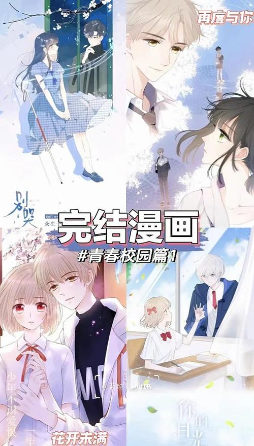 免费看漫画的软件2024