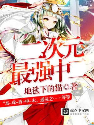 二次元小说