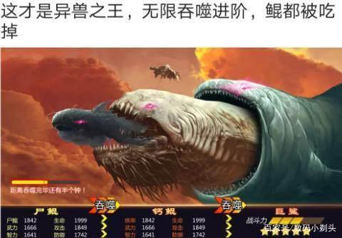 养鲲的游戏叫什么缩略图