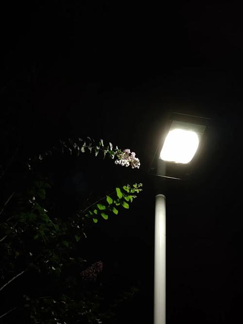 苹果11照相夜间模式